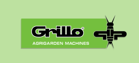 Grillo