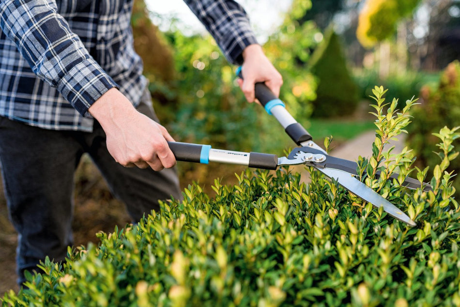 Foarfece pentru gard viu fixe CELLFAST IDEAL